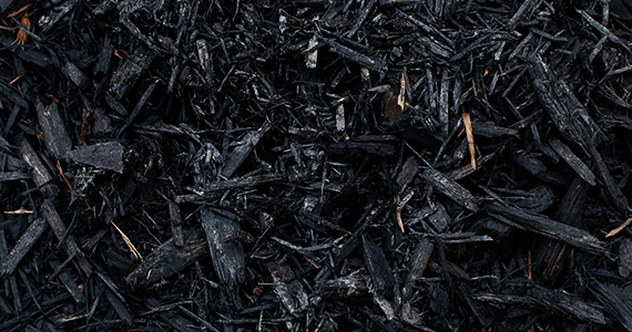 Black Mulch