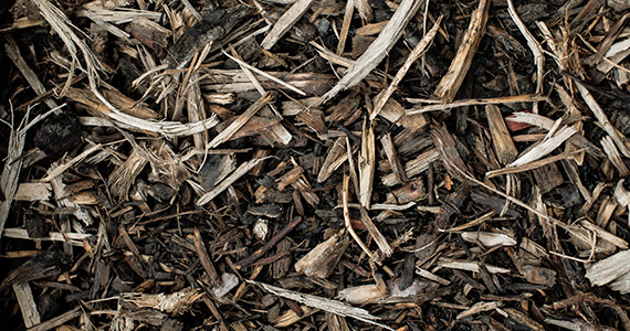 Premium Red Mulch